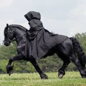 Meet your Posher, Wendy